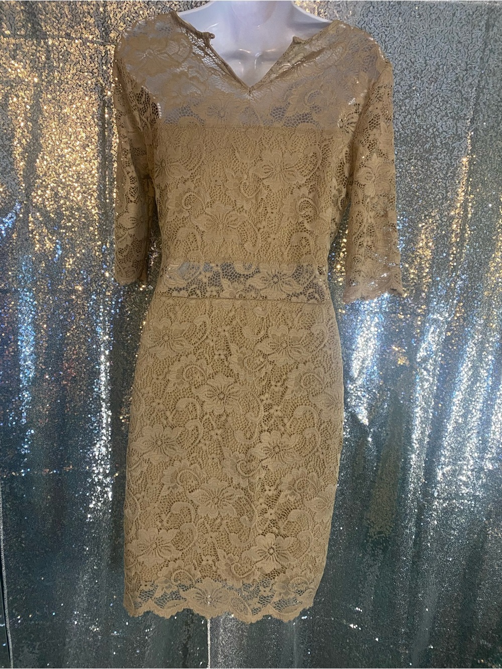 CHAMPAGNE LACE | Champagne Nude Dress | Size Medium